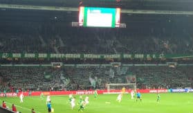 werder1